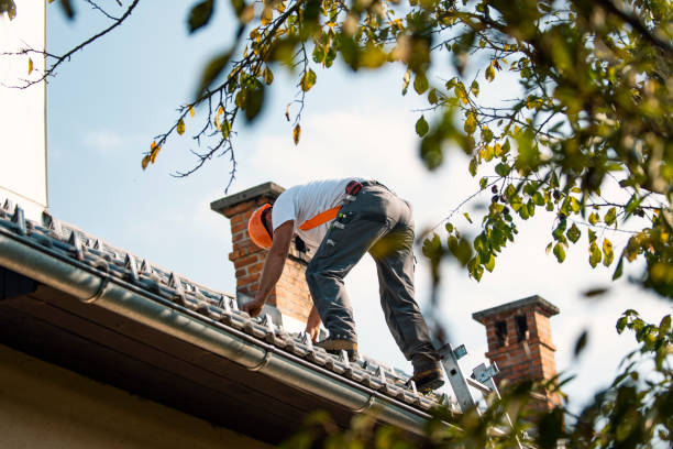 Roof Waterproofing Services in Jackson, MS