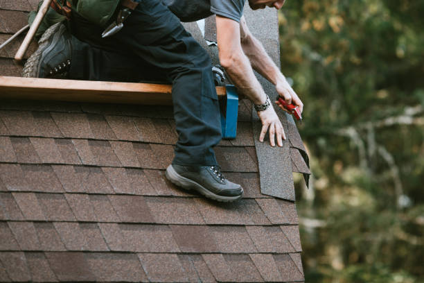 Best Roof Gutter Cleaning  in Jackson, MS